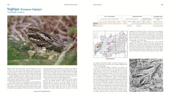 Nightjar pages from 'The Birds of Gloucestershire'