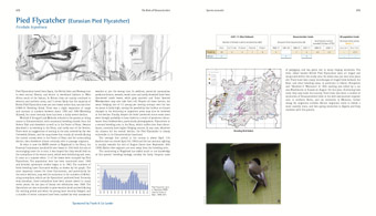 Pied Flycatcher pages from 'The Birds of Gloucestershire'